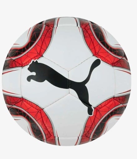 Puma Final 5 Futbol Topu 082911-03