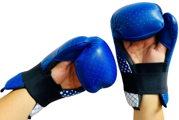 Whiteface Kickbox Point Fight Eldiveni-ELİTE (WTF442)