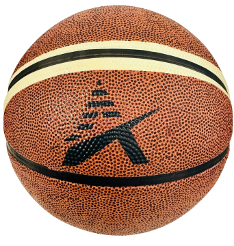 ARIMA Basketbol Topu 6 Numara BA600