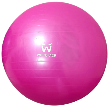 WHİTEFACE PLATES TOPU 65CM (PEMBE) VE POMPA SETİ