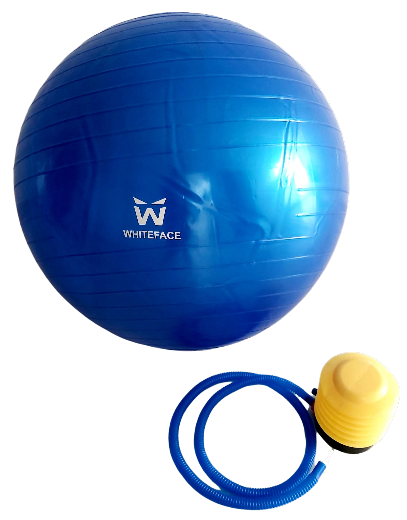 WHİTEFACE PLATES TOPU 65CM (MAVİ) VE POMPA SETİ